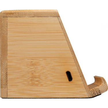 Logotrade Werbeartikel das Foto: Induktionslautsprecher NÜRNBERG