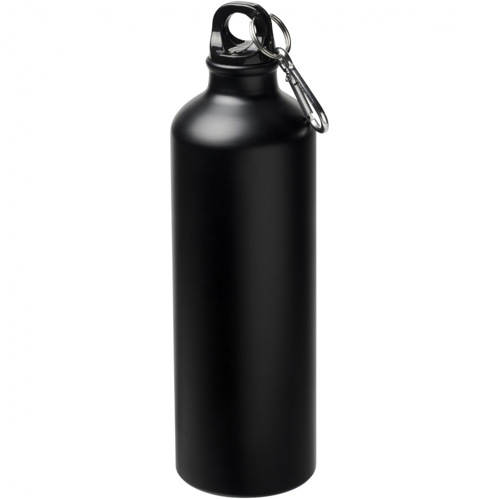 Logo trade promotional products picture of: Oregon 770 ml matte water bottle with carabiner