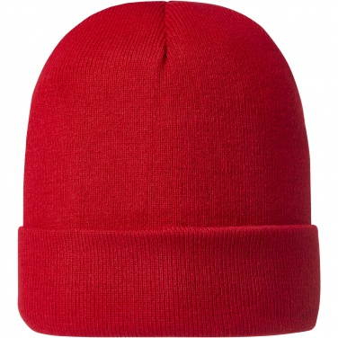 Logotrade corporate gifts photo of: Irwin beanie