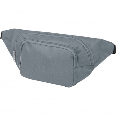 Logo trade promotional giveaway photo of: Santander fanny pack with two compartments