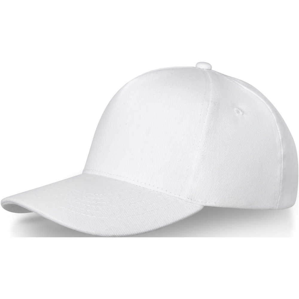 Logo trade promotional item photo of: Doyle 5 panel cap