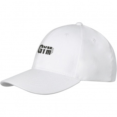 Logo trade promotional merchandise photo of: Davis 6 panel cap