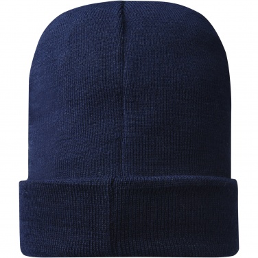 Logotrade corporate gifts photo of: Hale Polylana® beanie