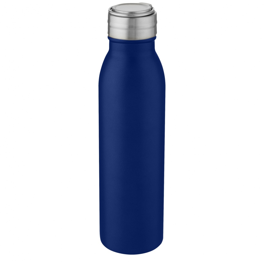 Logo trade promotional giveaway photo of: Harper 700 ml stainless steel water bottle with metal loop