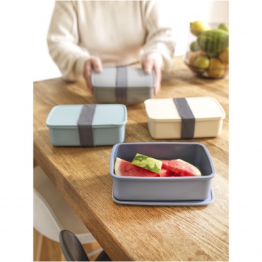 Logotrade promotional item image of: Dovi recycled plastic lunch box