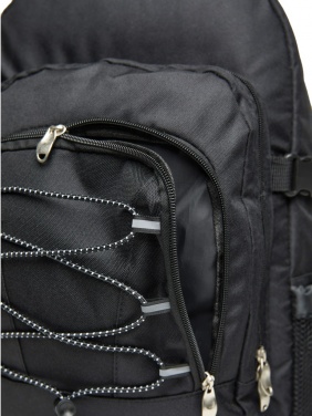 Logotrade promotional giveaway picture of: VINGA Parks cooler backpack