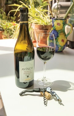 Logotrade promotional merchandise image of: Vino Waiters corkscrew
