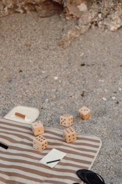 Logo trade promotional gifts image of: VINGA Outdoor yacht game