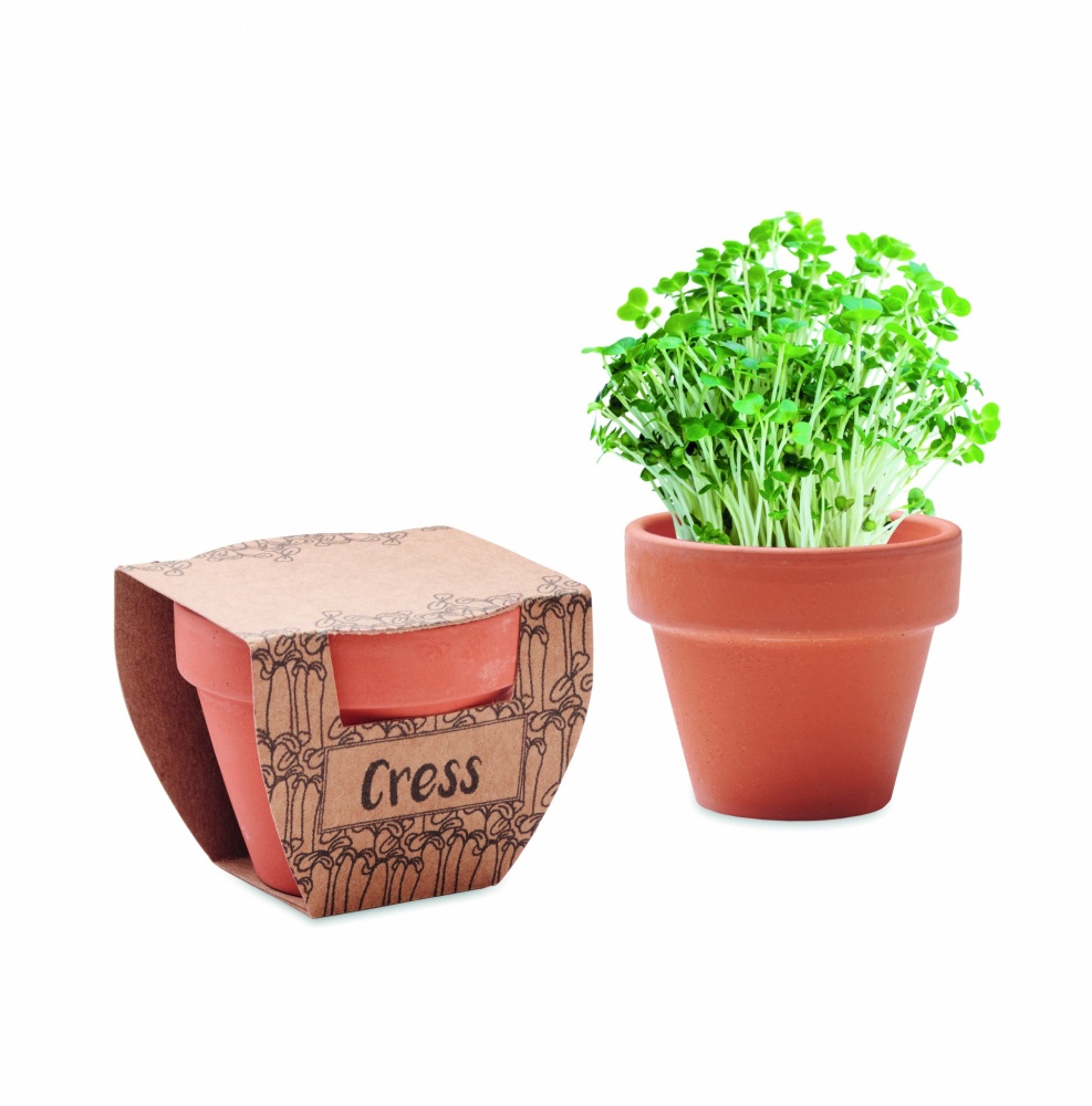 Logo trade corporate gift photo of: Terracotta pot cress seeds