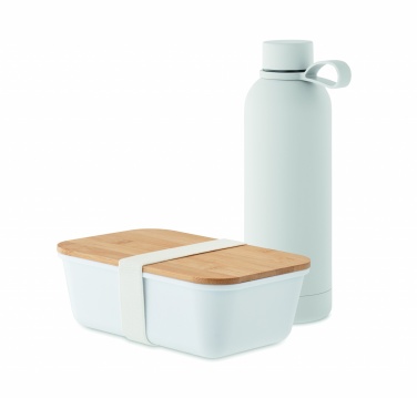 Logotrade promotional item picture of: Lunch box bottle gift set