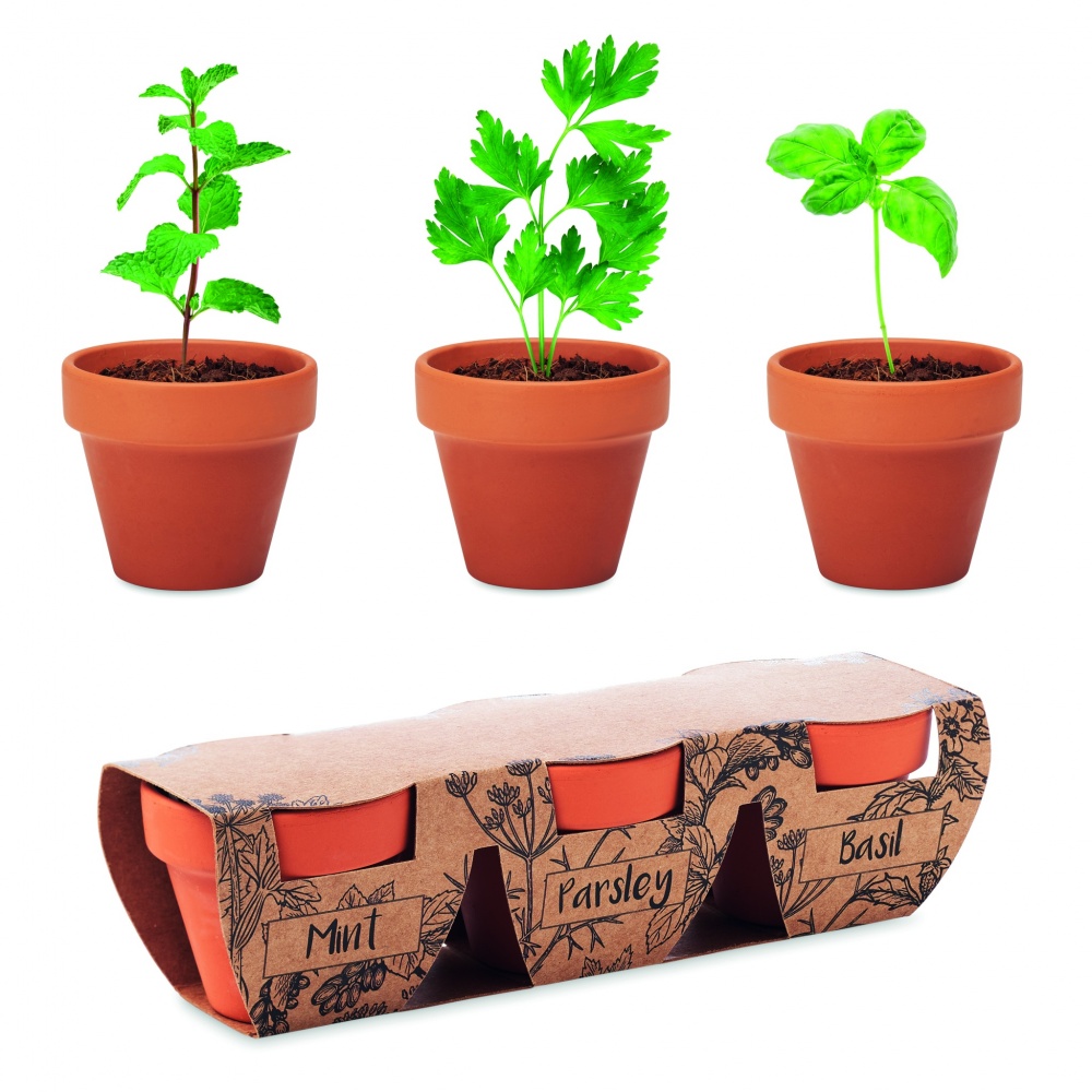 Logotrade advertising product picture of: Terracotta 3 herb pot set
