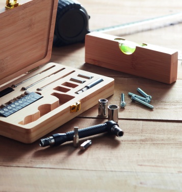 Logotrade promotional merchandise picture of: 21 pcs tool set in bamboo case