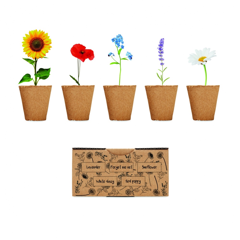 Logotrade corporate gift image of: Flowers growing kit
