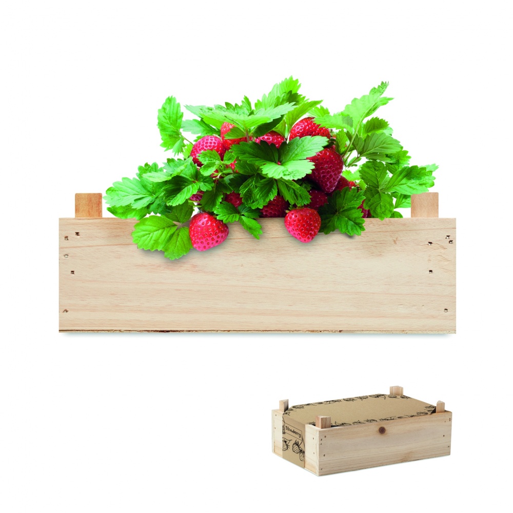 Logo trade promotional gift photo of: Strawberry kit in wooden crate
