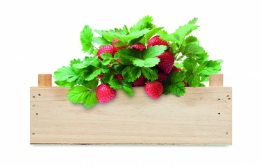 Logotrade promotional giveaway picture of: Strawberry kit in wooden crate