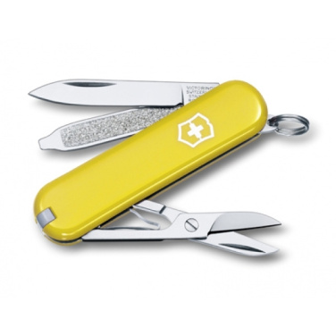 Logo trade business gifts image of: Pocket knife CLASSIC SD Victorinox