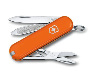 Logo trade corporate gift photo of: Pocket knife CLASSIC SD Victorinox