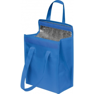 Logotrade promotional giveaway image of: Cooler Bag PLZEN
