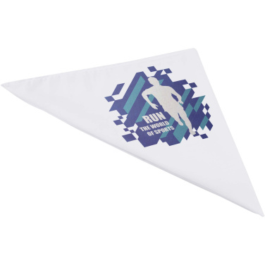 Logotrade business gifts photo of: Heracles bandana