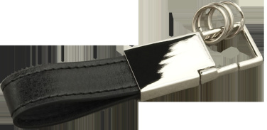 Logotrade promotional merchandise image of: Keyring 91309500
