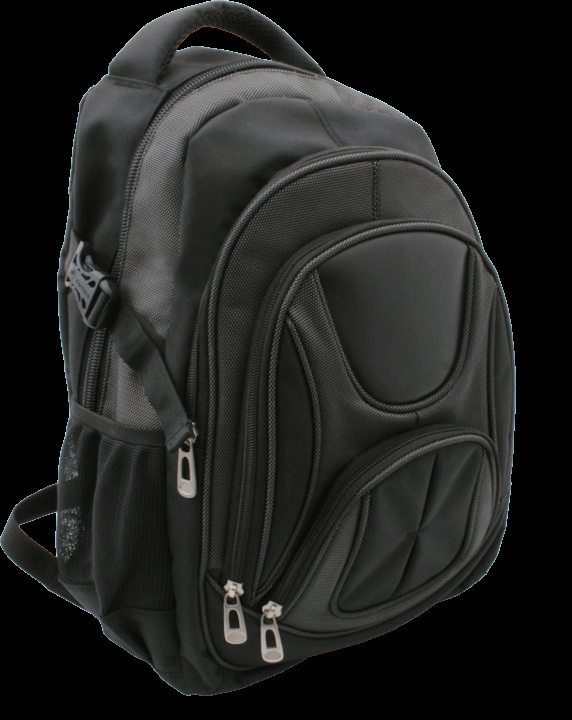 Logo trade promotional merchandise photo of: Laptop backpack 69903400