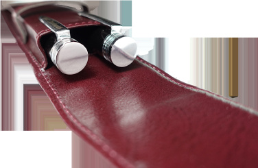 Logotrade corporate gifts photo of: Pen case 236019