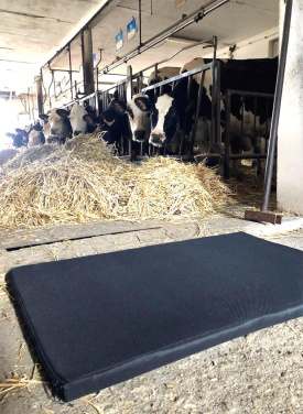 Logotrade business gift image of: Disinfection mat 100x150x3cm 1369087