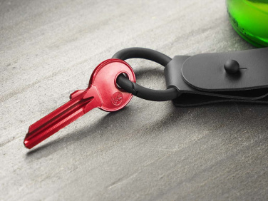 Logotrade promotional giveaway picture of: Keyring 1709094