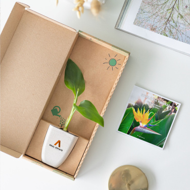 Logotrade business gifts photo of: Treemore Letterbox Trees Bird of Paradise plant