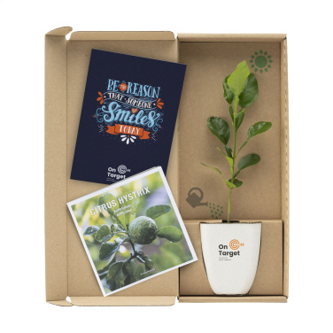 Logo trade promotional items image of: Treemore Letterbox Trees Kaffir Lemon