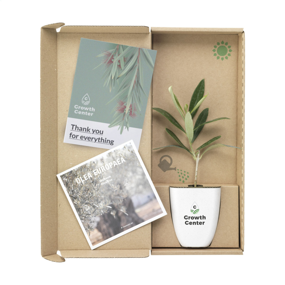 Logotrade promotional gift picture of: Treemore Letterbox Trees Olive