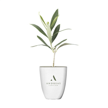 Logotrade promotional gift image of: Treemore Letterbox Trees Olive