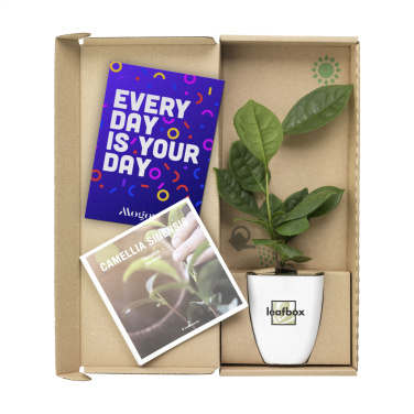 Logo trade promotional merchandise image of: Treemore Letterbox Trees Tea plant