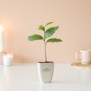 Logotrade promotional merchandise photo of: Treemore Letterbox Trees Tea plant
