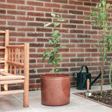 Logotrade promotional product picture of: Treemore Letterbox Trees Tea plant