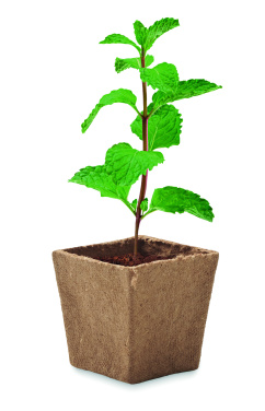 Logotrade promotional product picture of: Mint seeds growing kit