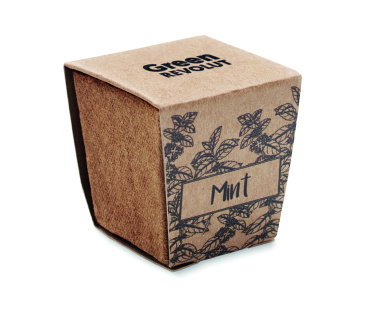 Logotrade promotional merchandise image of: Mint seeds growing kit