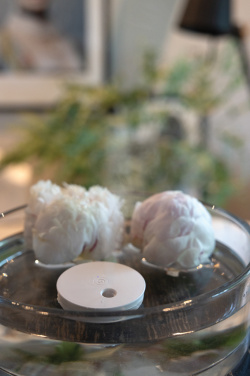 Logotrade advertising products photo of: Breevia RCS rplasic re-chargeable floating humidifier