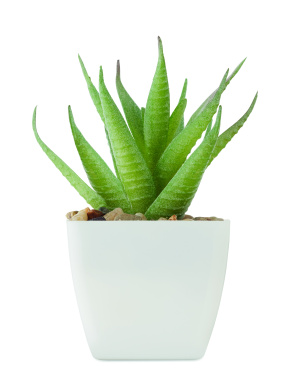 Logo trade advertising product photo of: Mini artificial plant