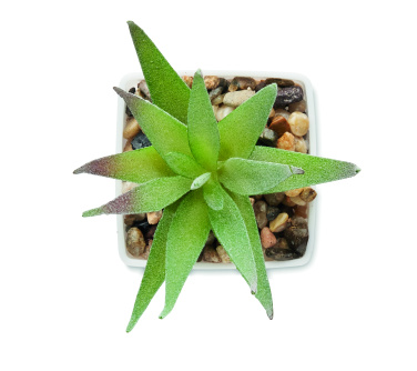 Logo trade promotional merchandise photo of: Mini artificial plant
