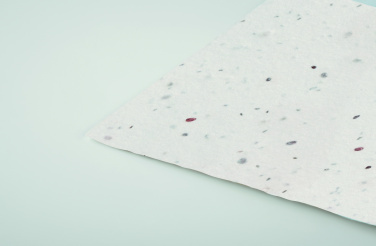 Logotrade promotional merchandise image of: Wildflower seed business card.