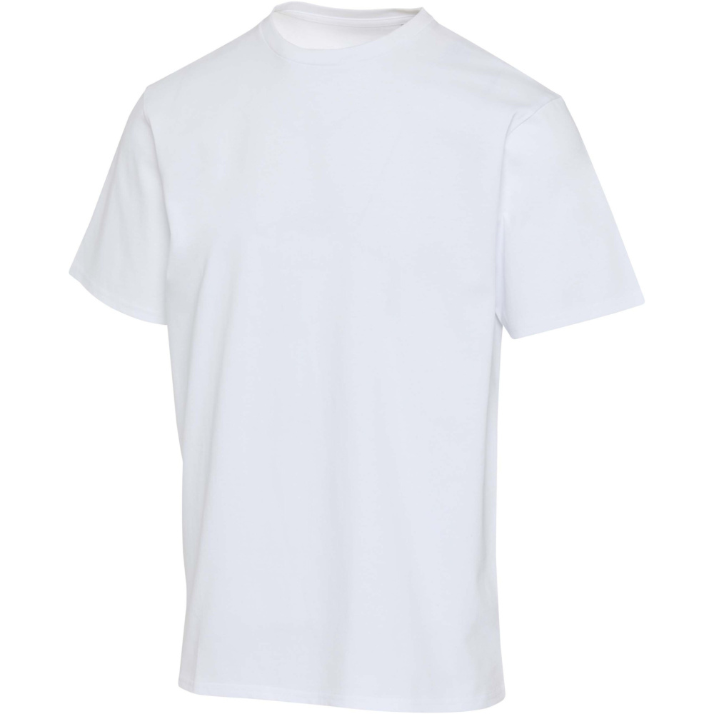 Logotrade promotional merchandise photo of: Lucas 280 g/m2 unisex OCS organic oversized t-shirt 