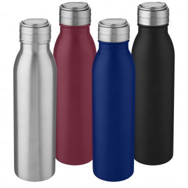 Logo trade firmakingitused foto: Harper 700 ml roostevabast terasest veepudel metallist aasaga