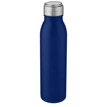 Logo trade firmakingituse pilt: Harper 700 ml roostevabast terasest veepudel metallist aasaga