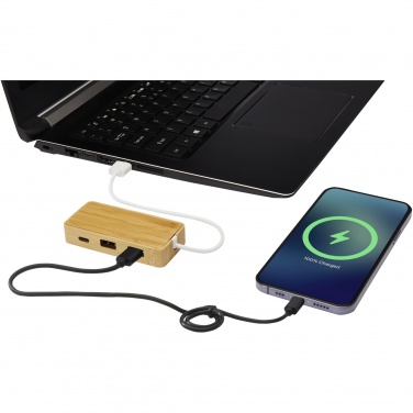 Logo trade reklaamkingi pilt: Tapase bambusest USB-jaotur