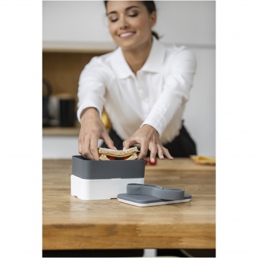 Logo trade ärikingitused foto: MIYO kahekihiline lõunakarp