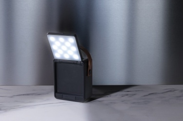 Logotrade firmakingituse foto: Skywave RCS taaskasutatud plastikust päikesekõlar 12W