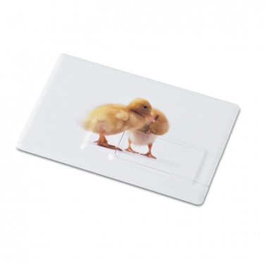 Logotrade firmakingid pilt: Krediitkaart. USB-välkmälu 32GB