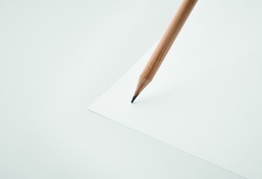 Logo trade reklaamkingid foto: Looduslik kustutuskummiga pliiats
