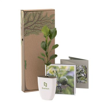 Logotrade reklaamkingid pilt: Treemore Letterbox Trees Kaffir Lemon